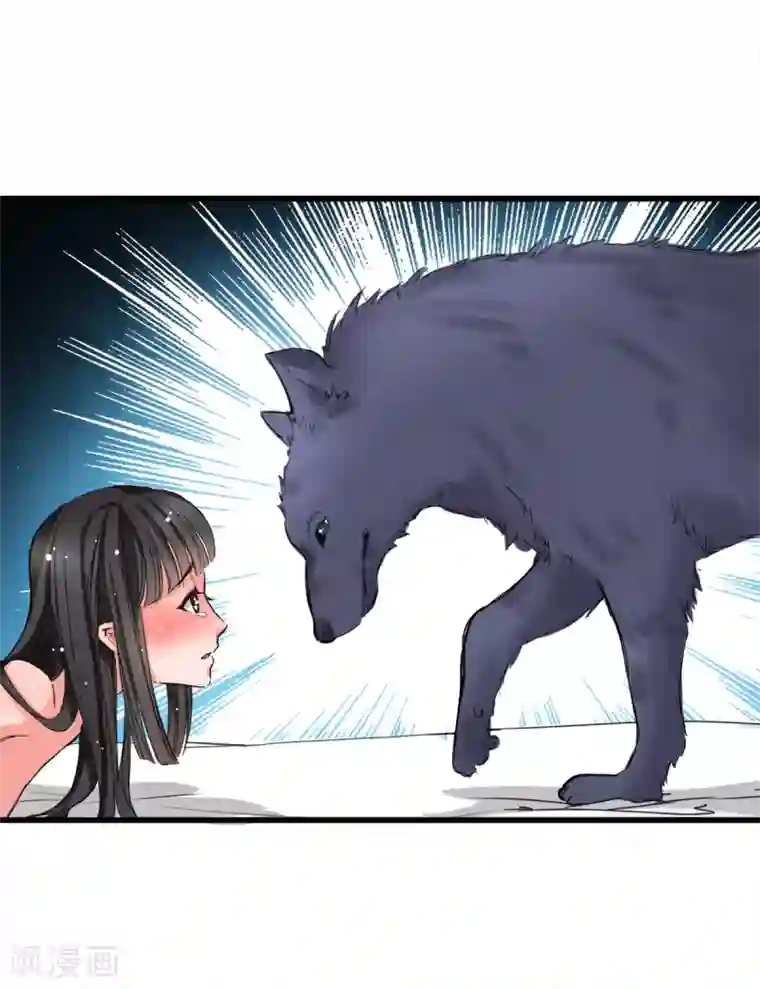 兽王的专宠第3话 咸猪手