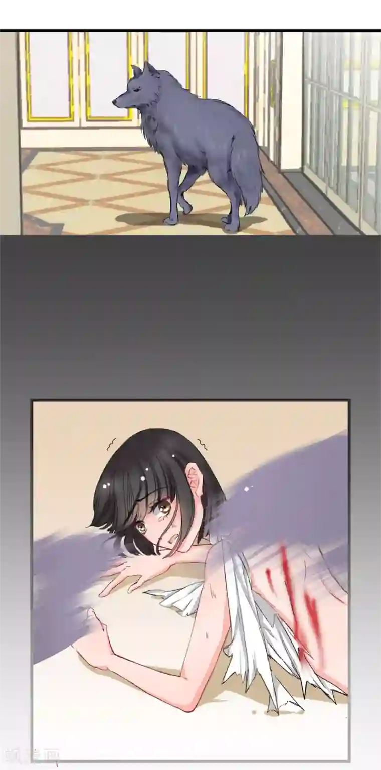 兽王的专宠第3话 咸猪手