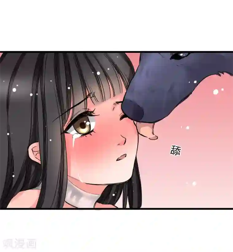 兽王的专宠第3话 咸猪手