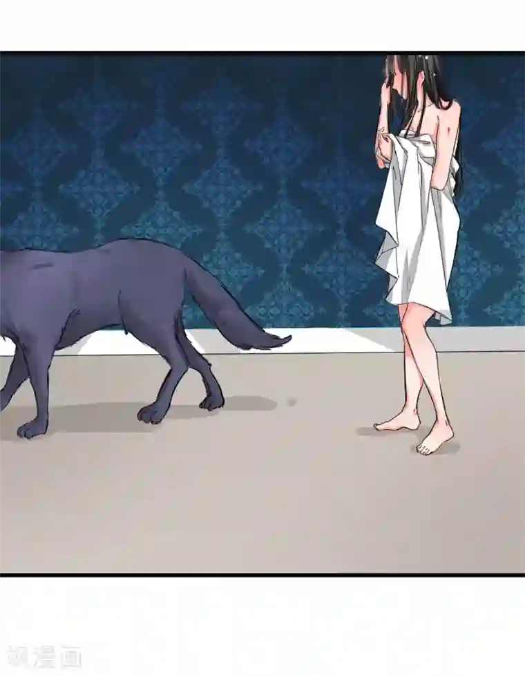 兽王的专宠第3话 咸猪手