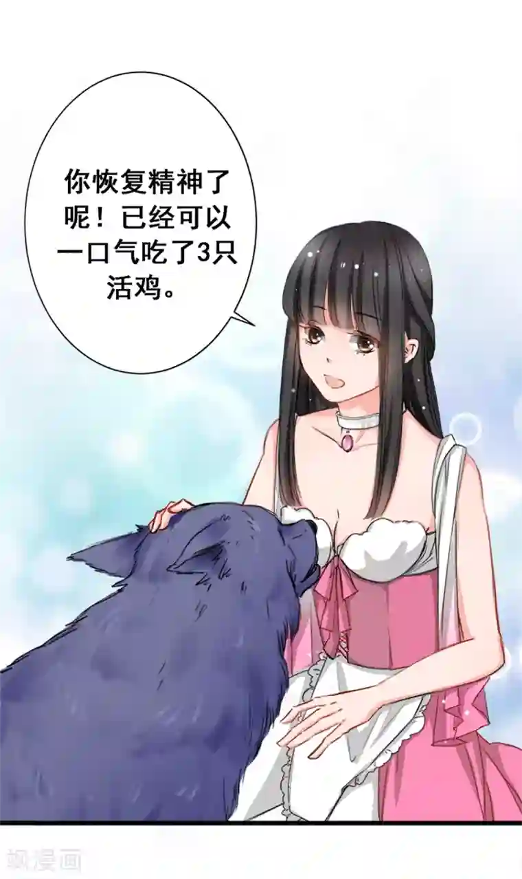 兽王的专宠第8话 野外