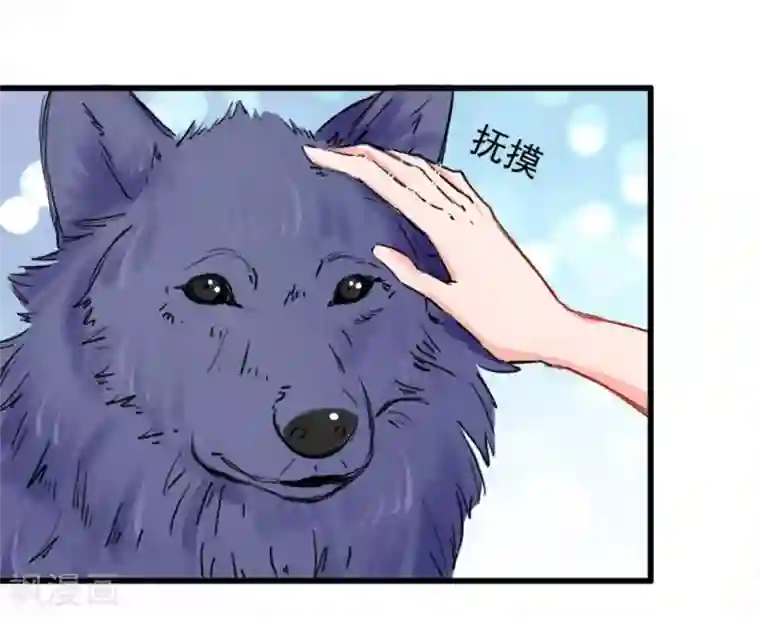 兽王的专宠第8话 野外