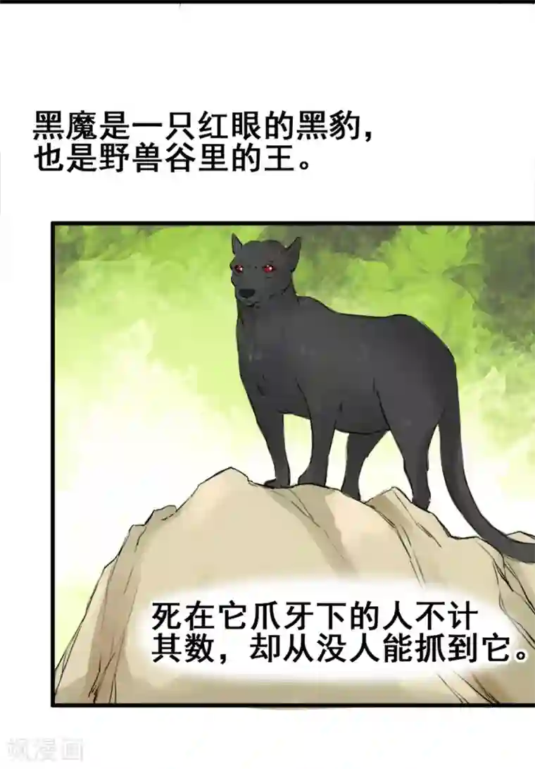 兽王的专宠第9话 偷袭暗杀