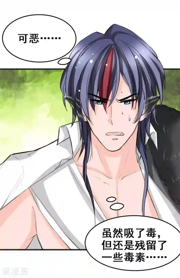 兽王的专宠第11话 杀了他！