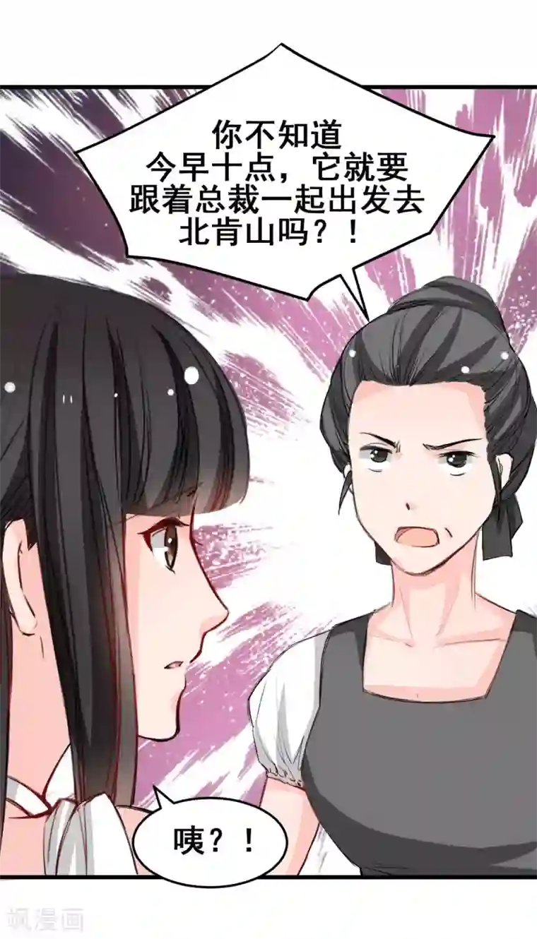 兽王的专宠第19话 再次出发！