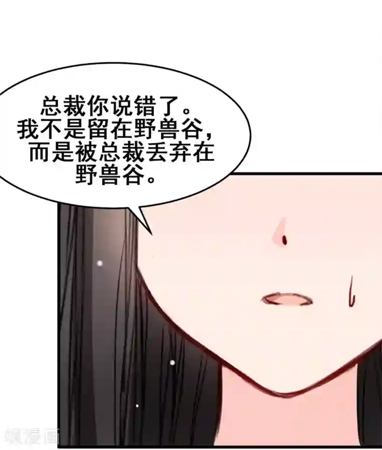 兽王的专宠第19话 再次出发！