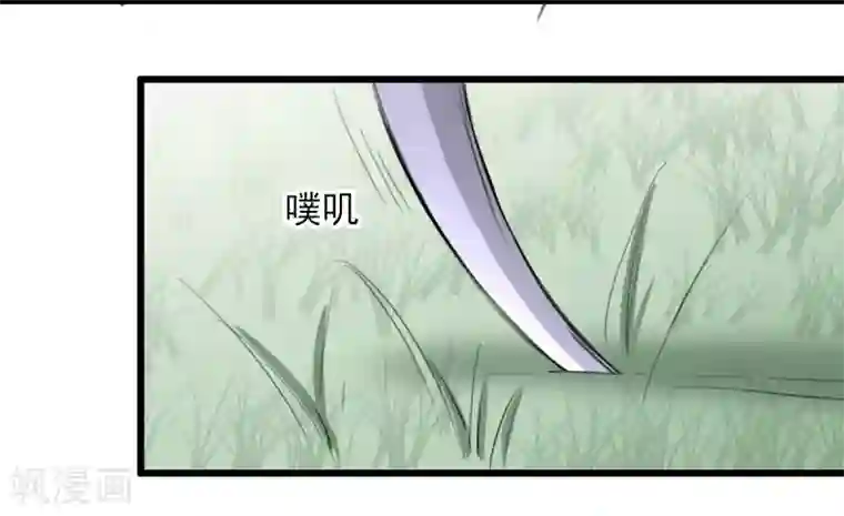 兽王的专宠第32话 为什么选它?