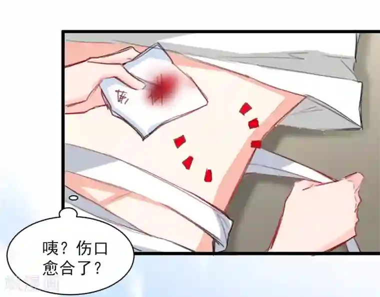 兽王的专宠第37话 肖雨的身世