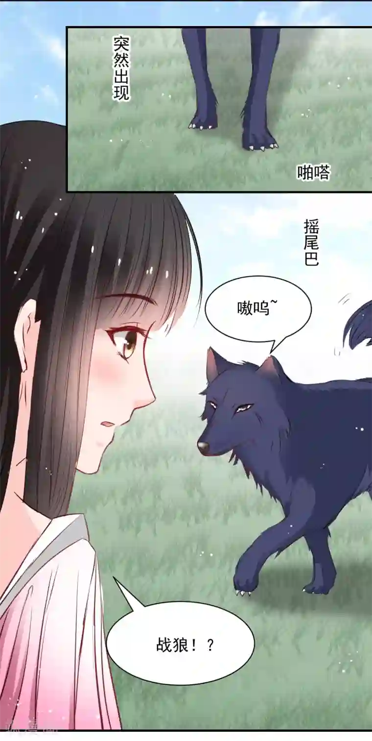 兽王的专宠第52话 变态的逆鳞