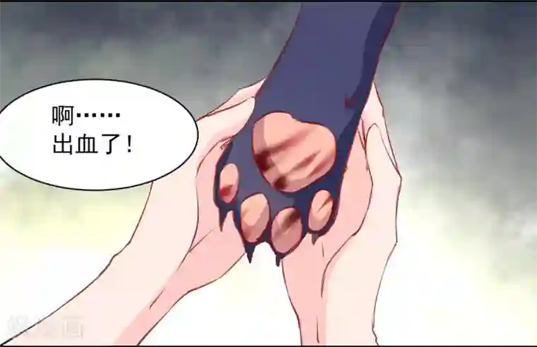 兽王的专宠第53话 她是我的女人