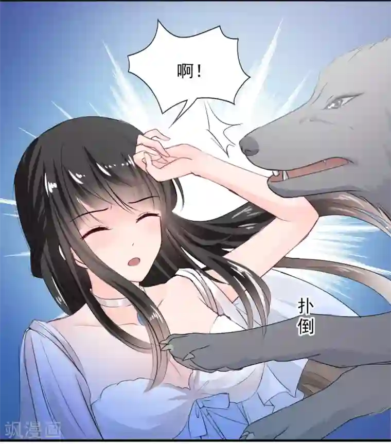 兽王的专宠第70话 被赦免