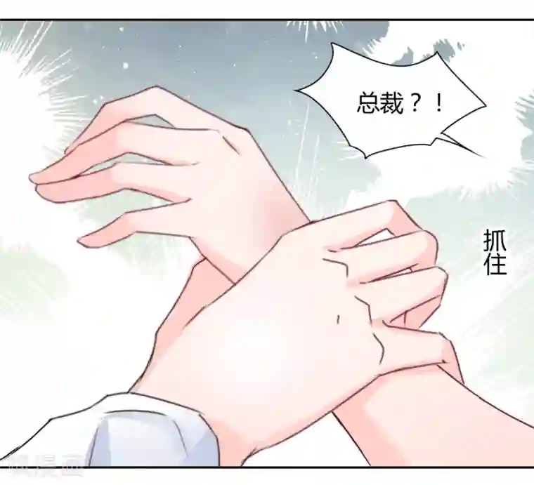 兽王的专宠第85话 绝妙计划