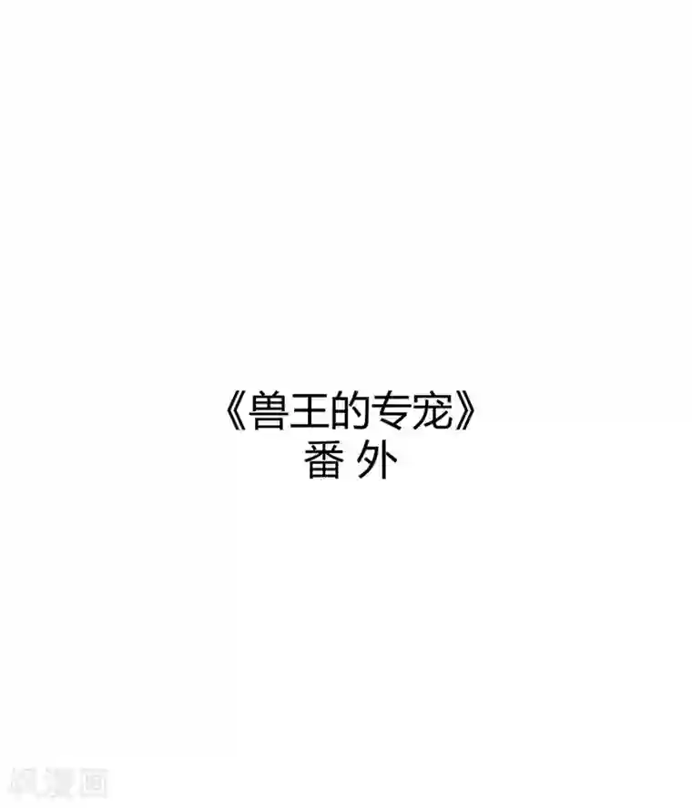 兽王的专宠番外