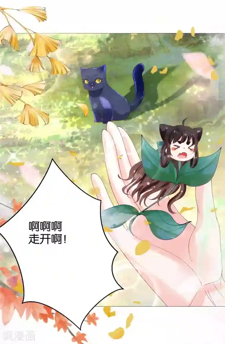 三生彼岸花第11话 猫猫心里苦，但是不能说