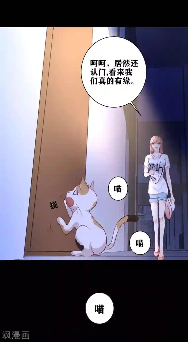 错乱终身第13话 挥之不去