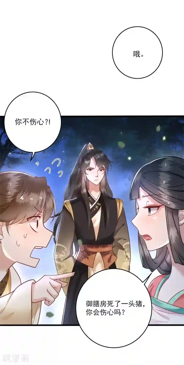 这个王妃路子野第7话 还搁这哔哔赖赖