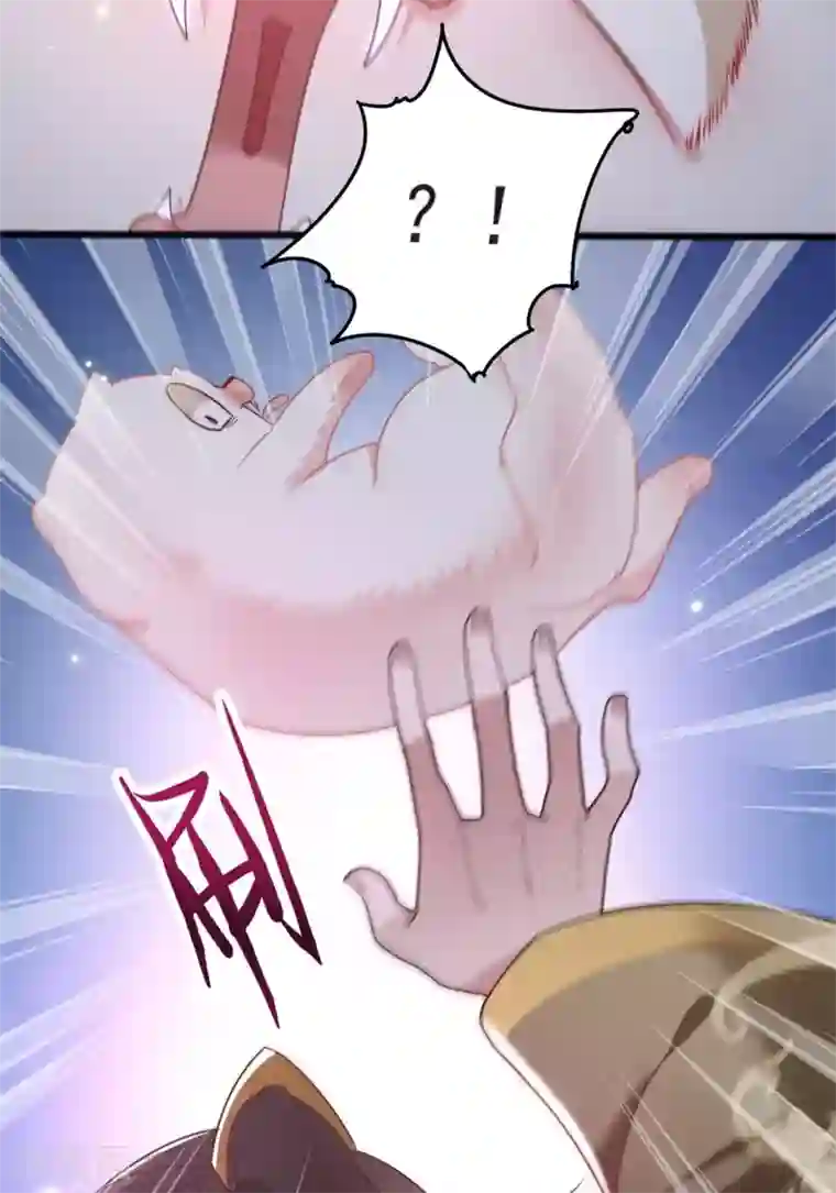 这个王妃路子野第7话 还搁这哔哔赖赖