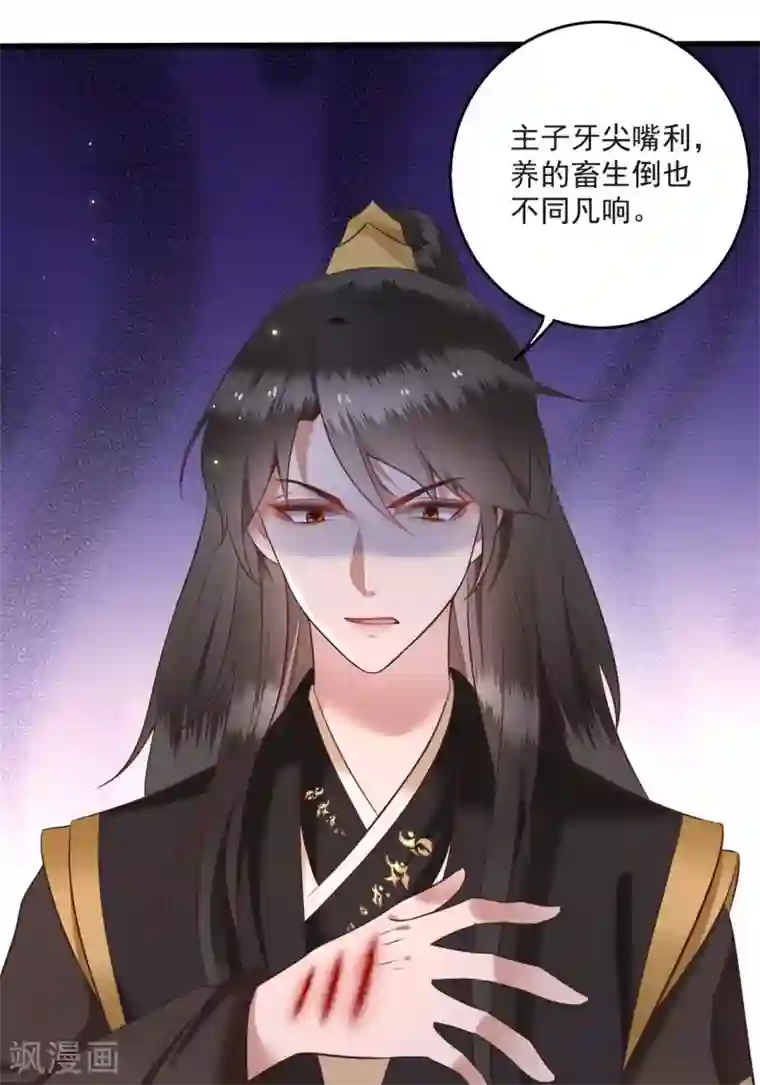 这个王妃路子野第7话 还搁这哔哔赖赖