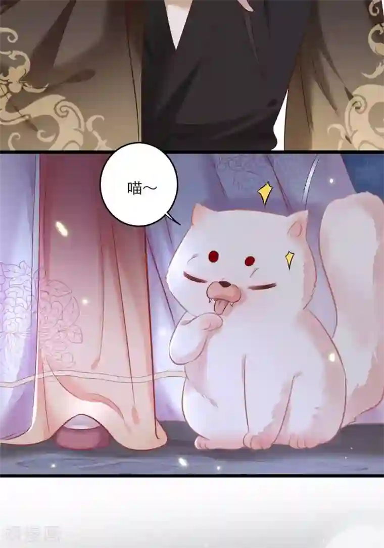 这个王妃路子野第7话 还搁这哔哔赖赖