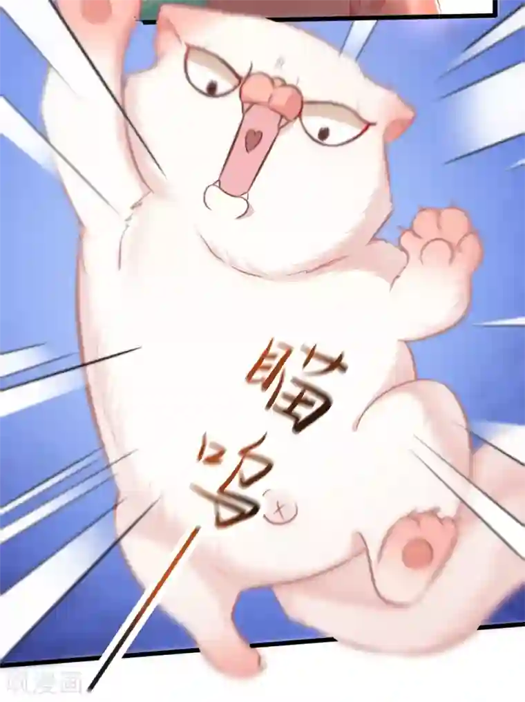 这个王妃路子野第9话 抱着舒服吗？