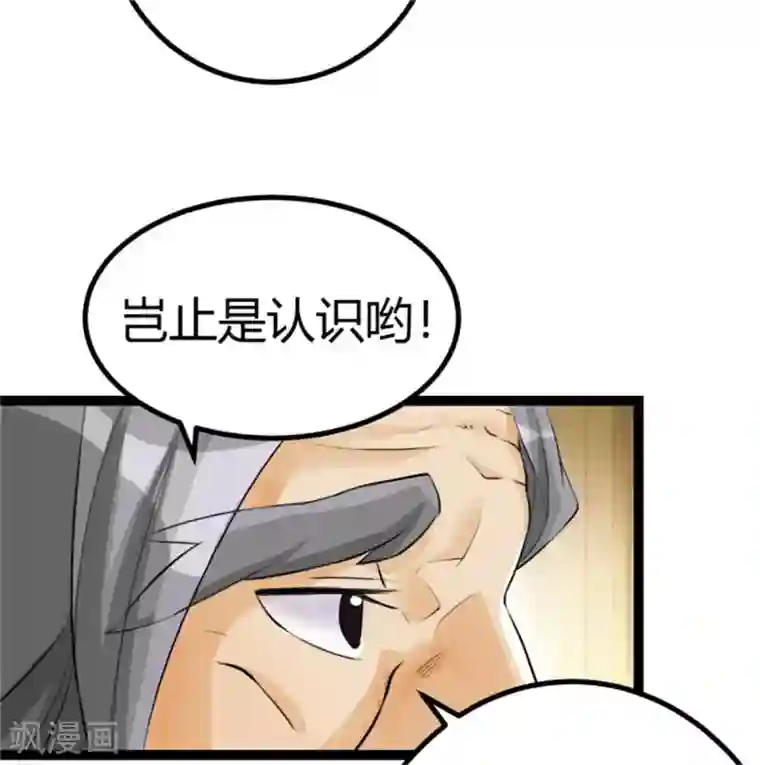 帝婿第2话 豪门赘婿