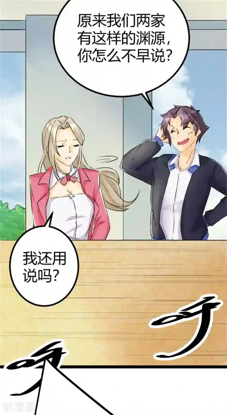 帝婿第2话 豪门赘婿