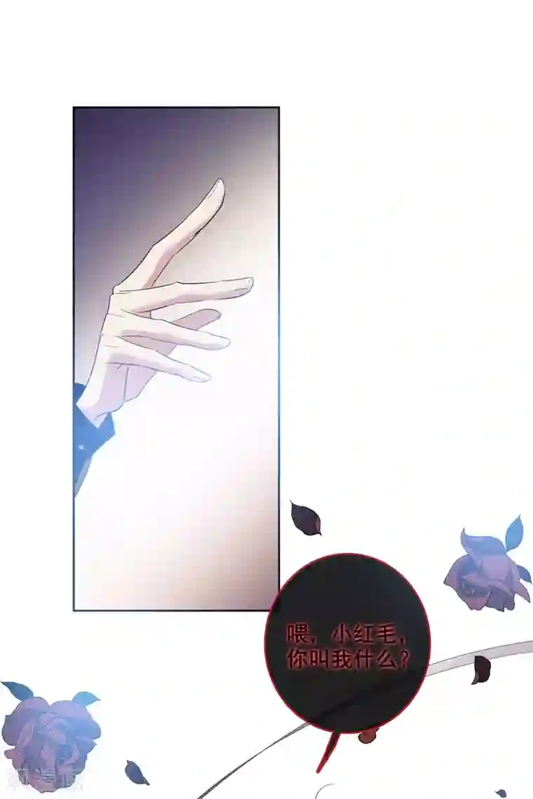 璇玑辞万圣节番外