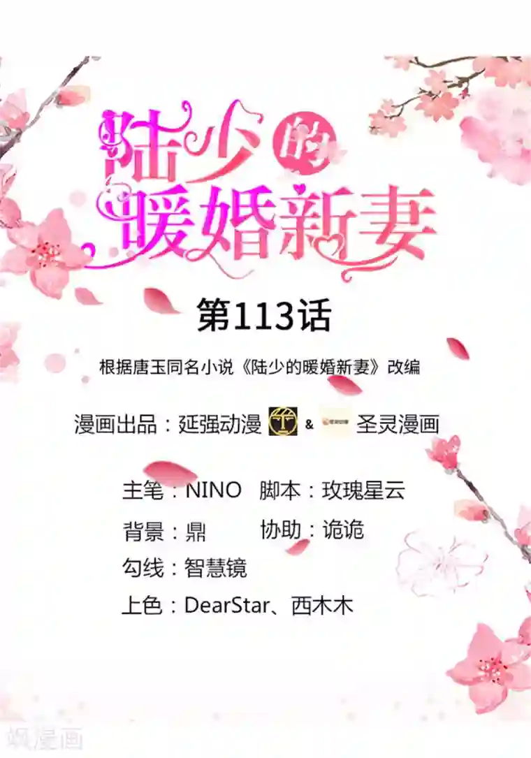 陆少的暖婚新妻第113话