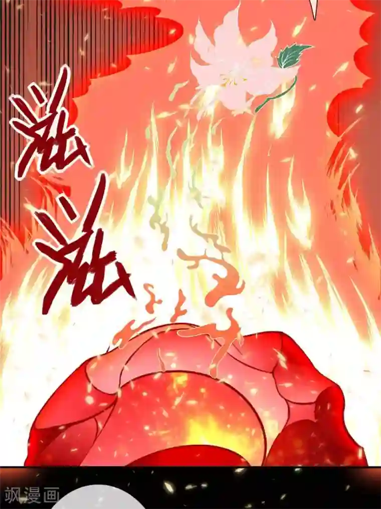 至尊神级系统第322话 仙级丹药