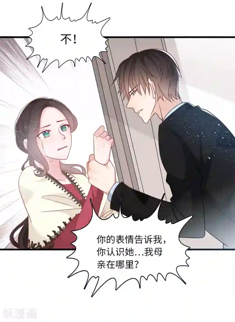 总裁爹地追上门第73话 找寻生母