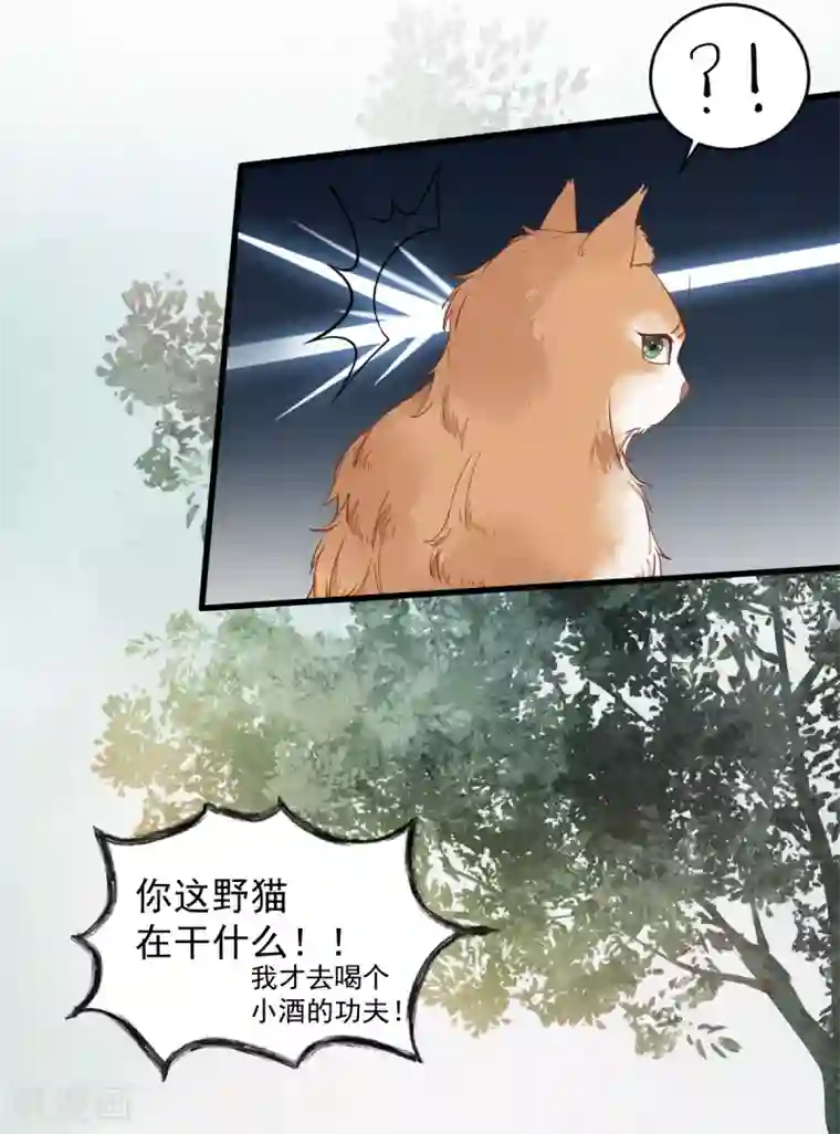 杀手王妃不好惹第37话 一只逃跑喵