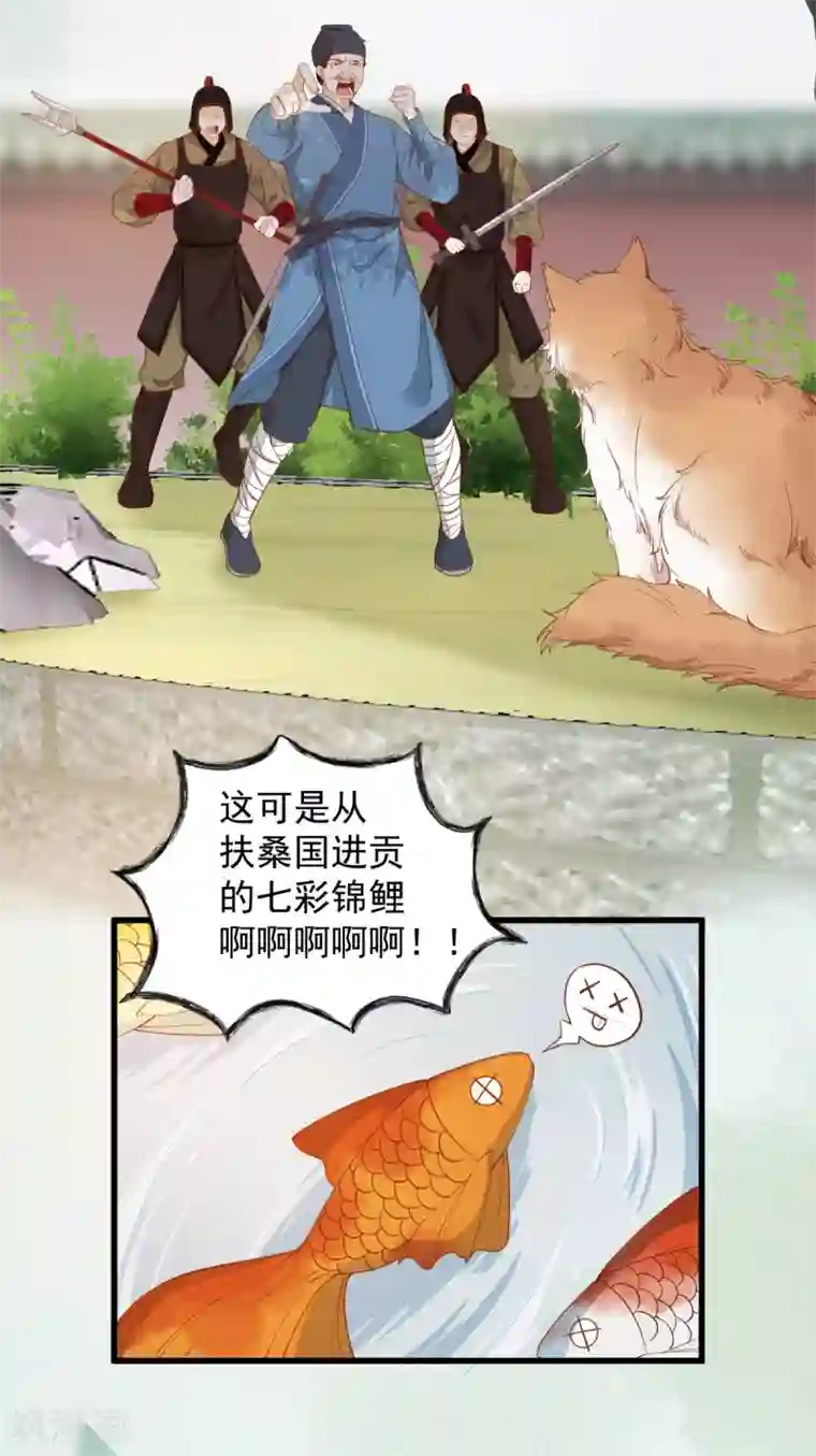 杀手王妃不好惹第37话 一只逃跑喵