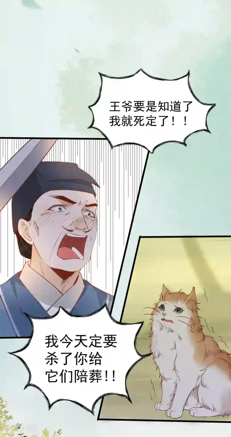 杀手王妃不好惹第37话 一只逃跑喵