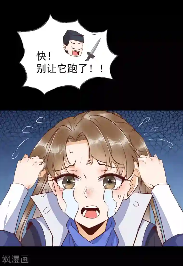 杀手王妃不好惹第37话 一只逃跑喵