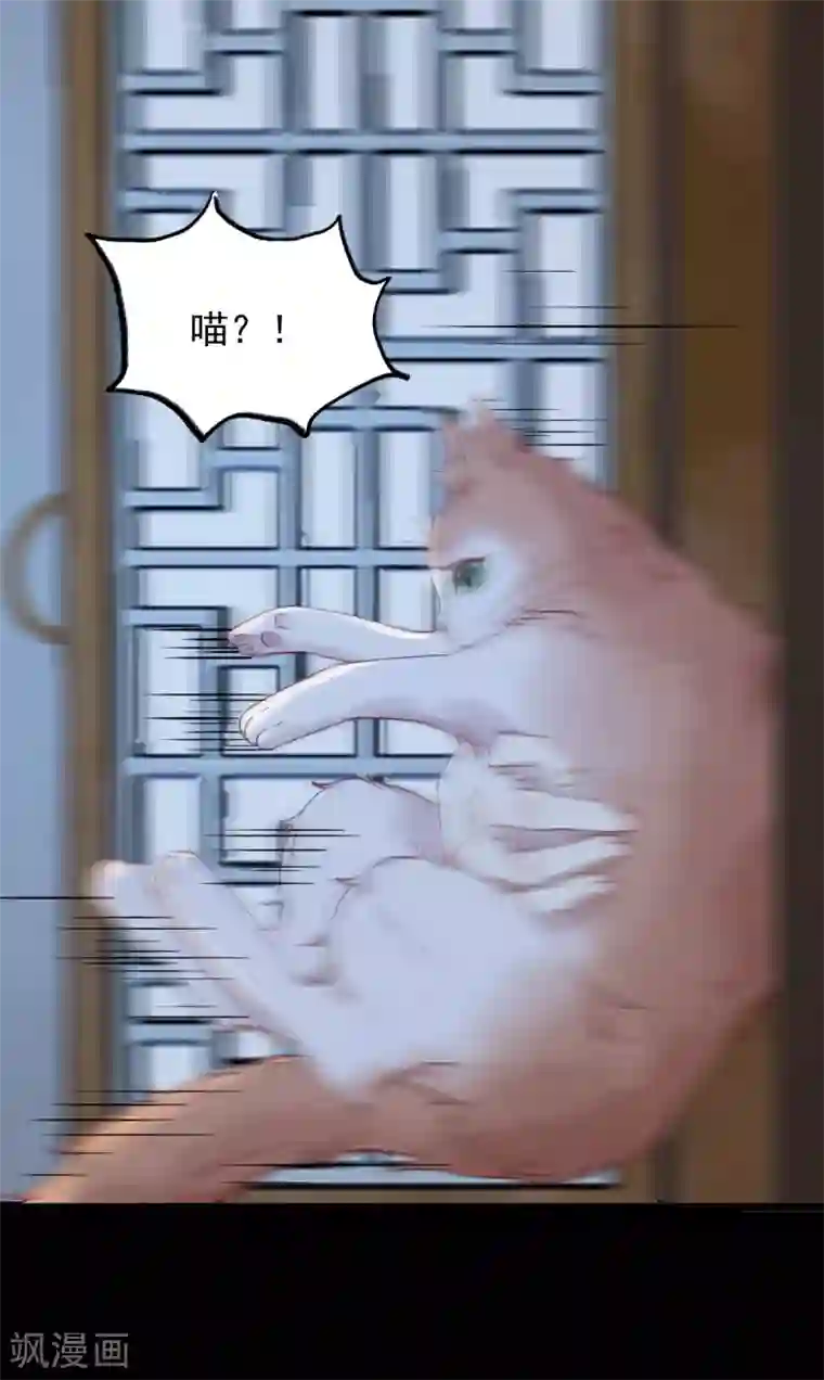 杀手王妃不好惹第37话 一只逃跑喵