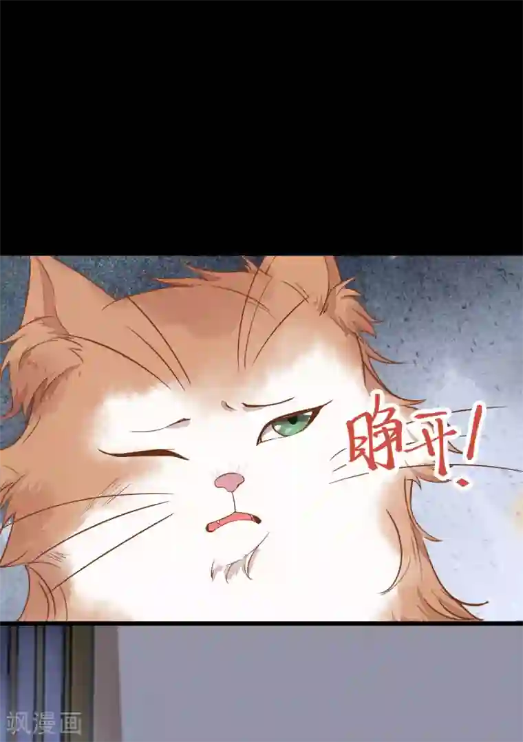 杀手王妃不好惹第37话 一只逃跑喵