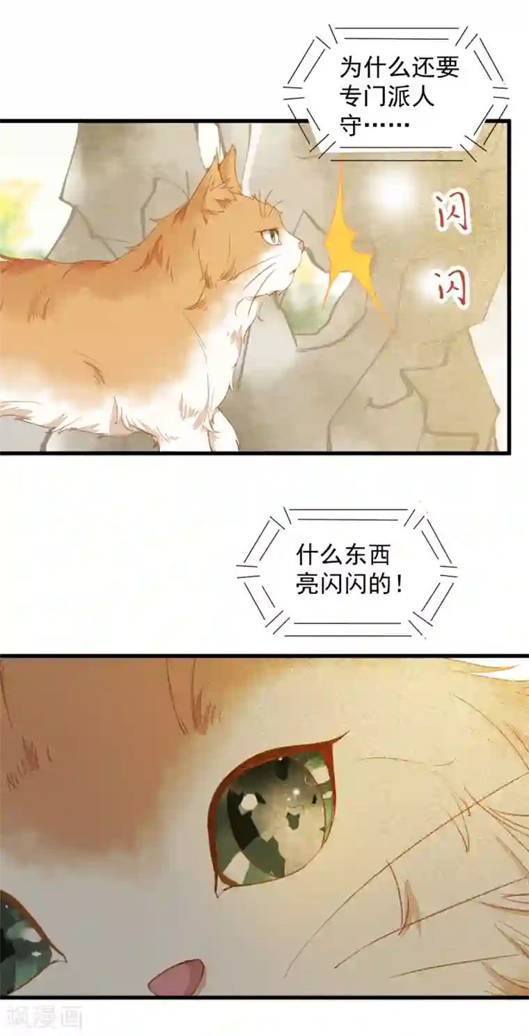 杀手王妃不好惹第37话 一只逃跑喵