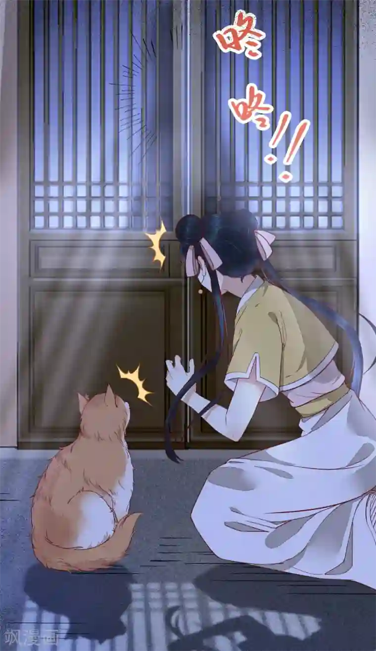 杀手王妃不好惹第37话 一只逃跑喵