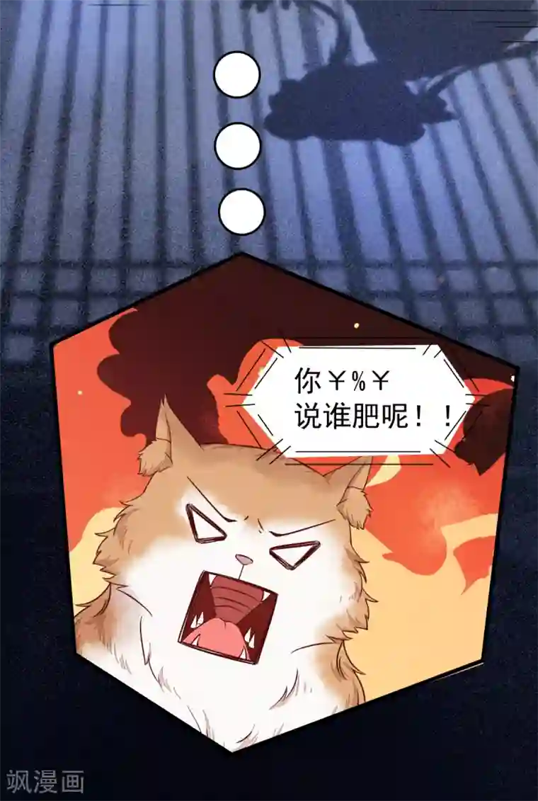 杀手王妃不好惹第37话 一只逃跑喵