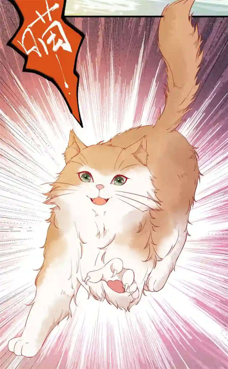 杀手王妃不好惹第37话 一只逃跑喵