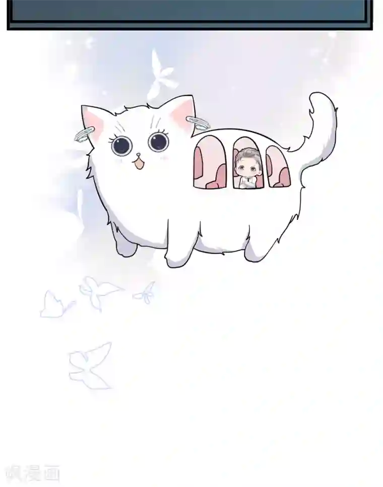 Take Me Out第43话 你对沐家有什么误解？