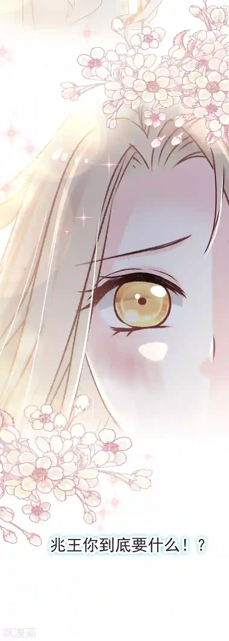 天下第一宠第61话 我是子轩