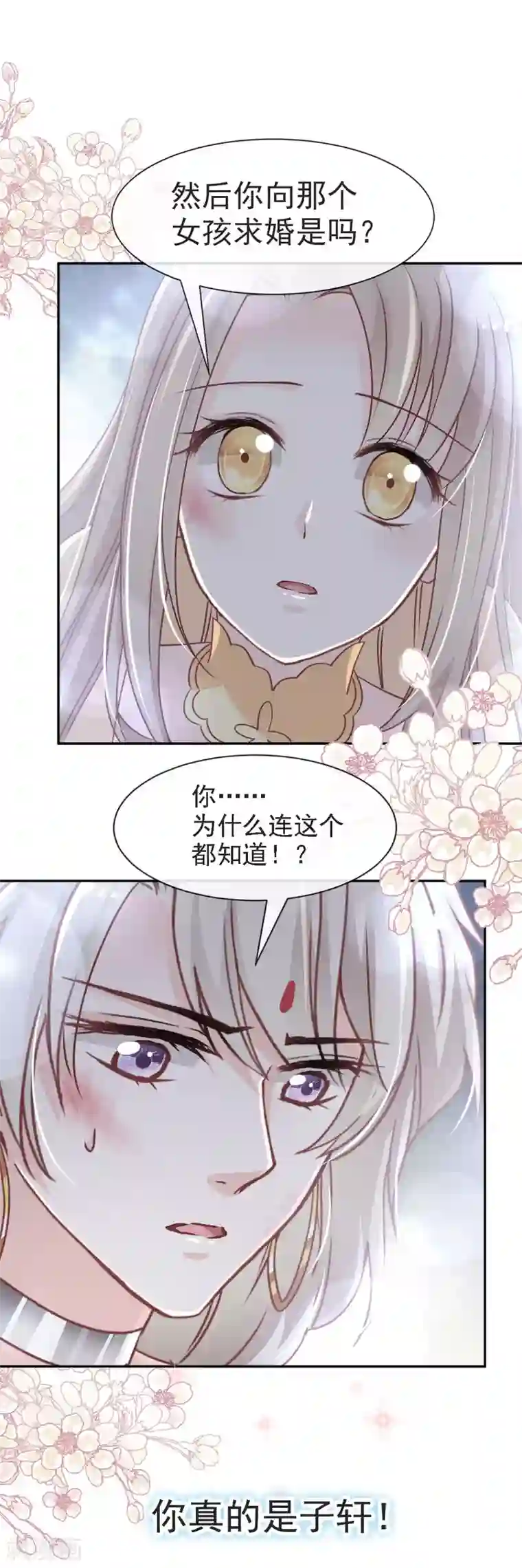 天下第一宠第61话 我是子轩