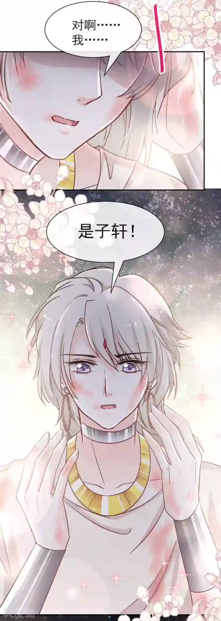 天下第一宠第61话 我是子轩