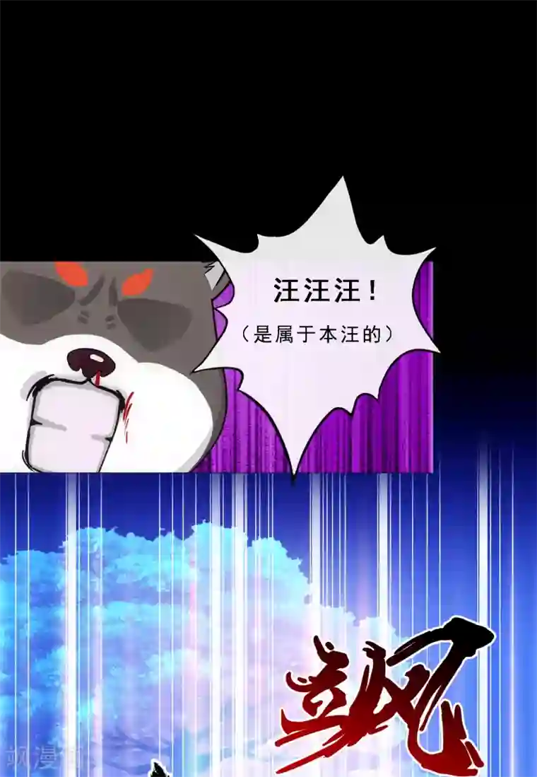 解离妖圣第231话 神尊的解离术