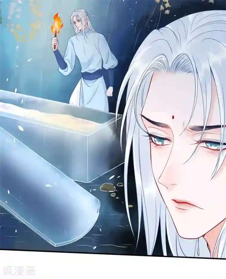 凰妃九千岁第94话 朕自有打算