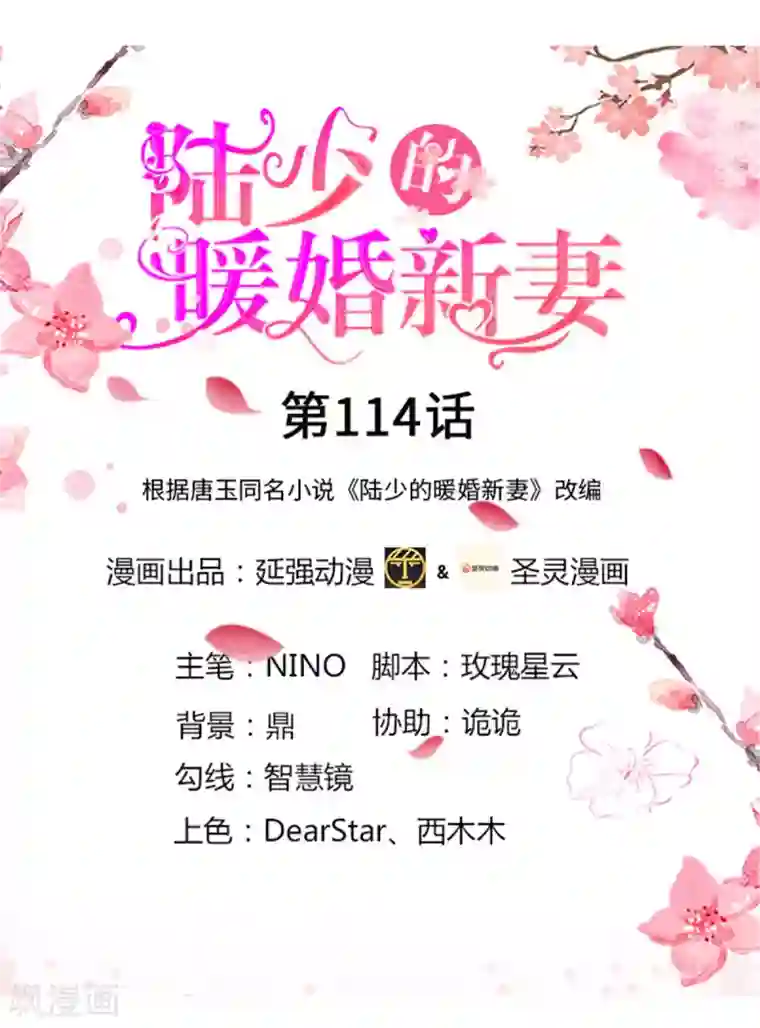 陆少的暖婚新妻第114话