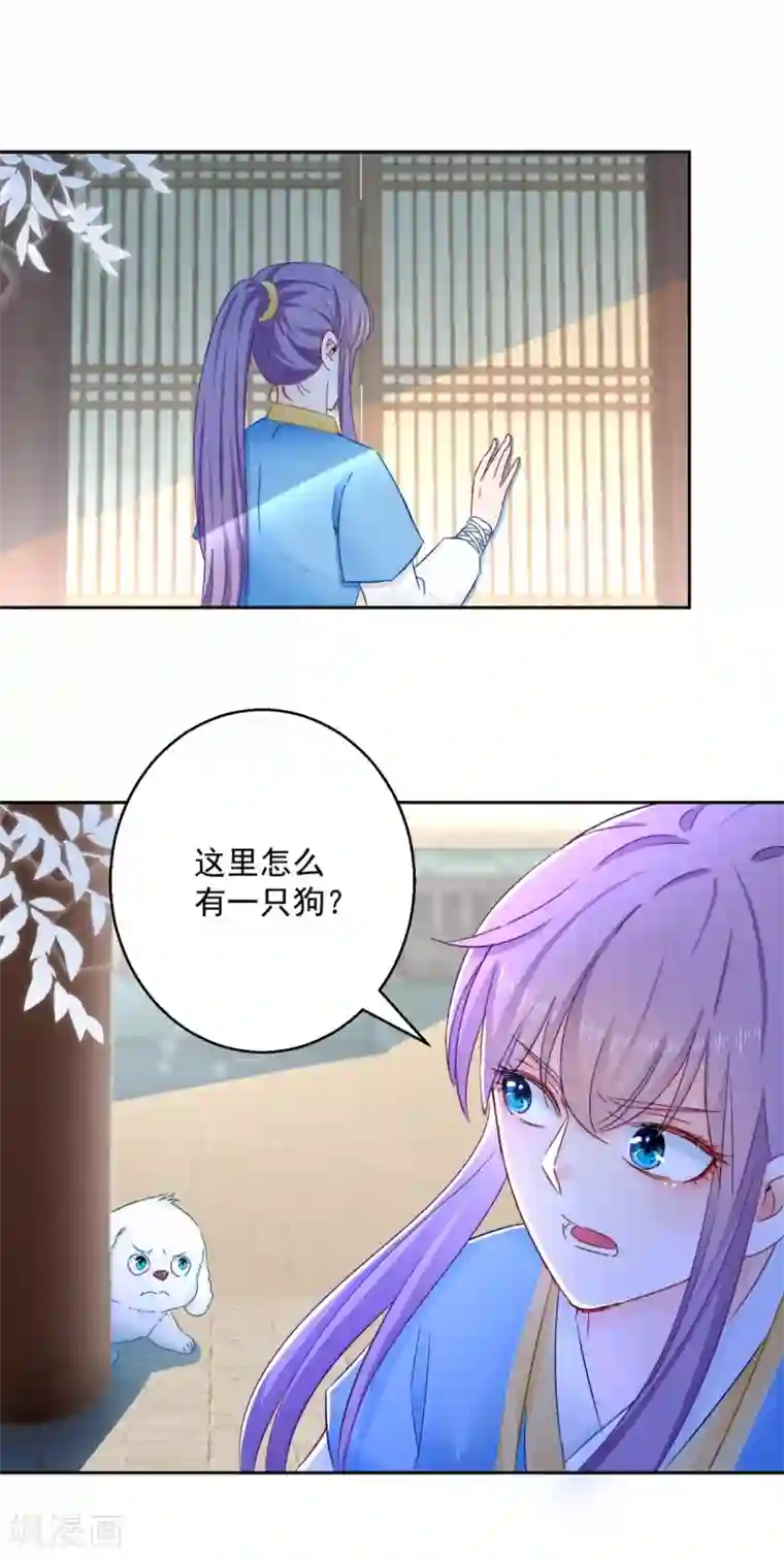 盛宠阴阳妃第96话 最多劫色