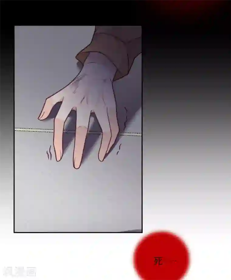 向黑化总裁献上沙雕第69话 毁灭