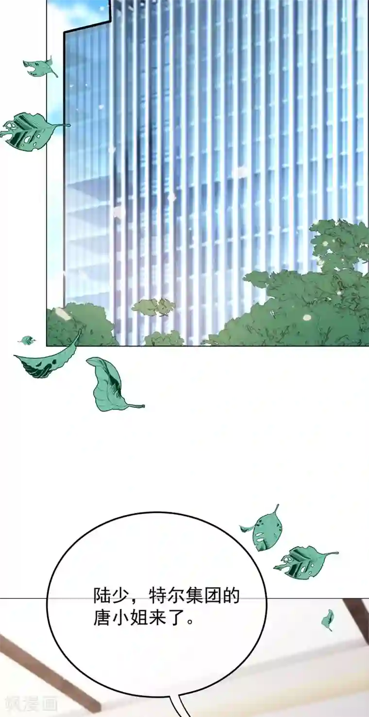 纯情陆少第218话 放鸽子
